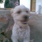 Uff
Estoy curioseando